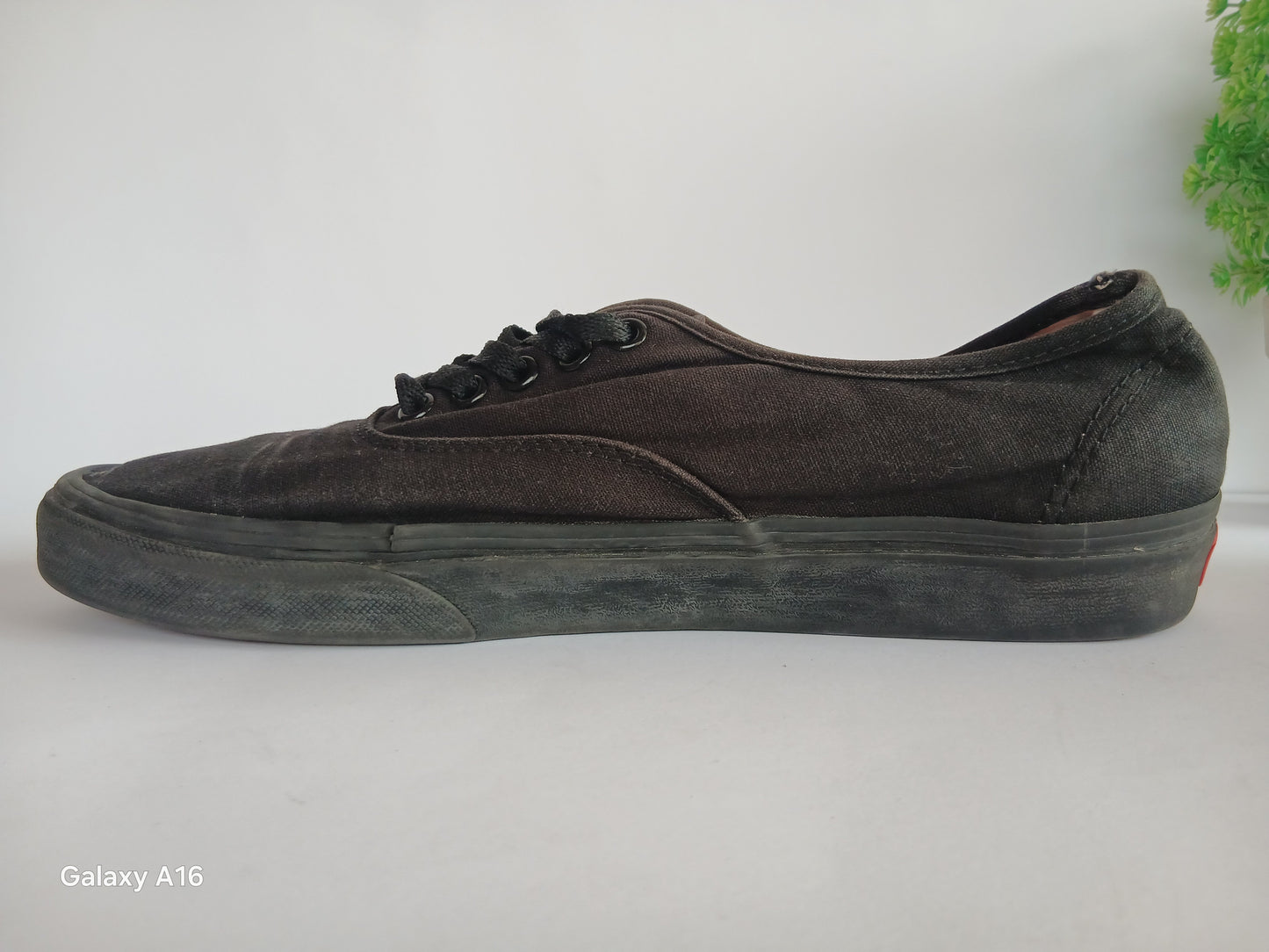 Vans Shoe - EUR Size 43