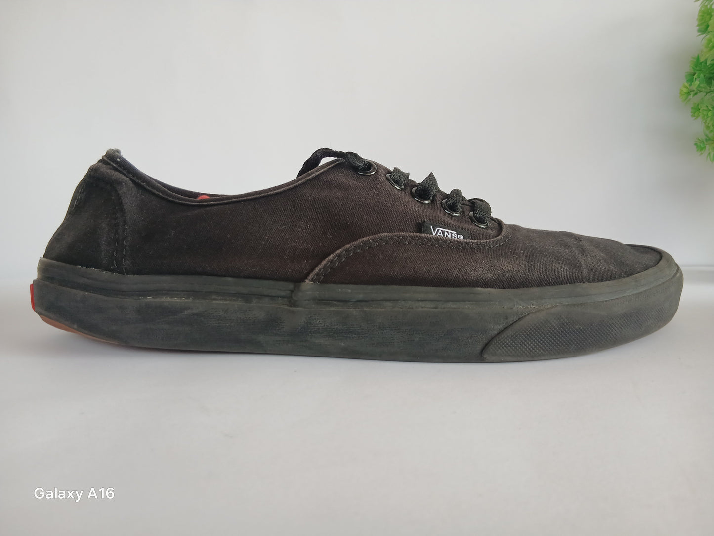 Vans Shoe - EUR Size 43