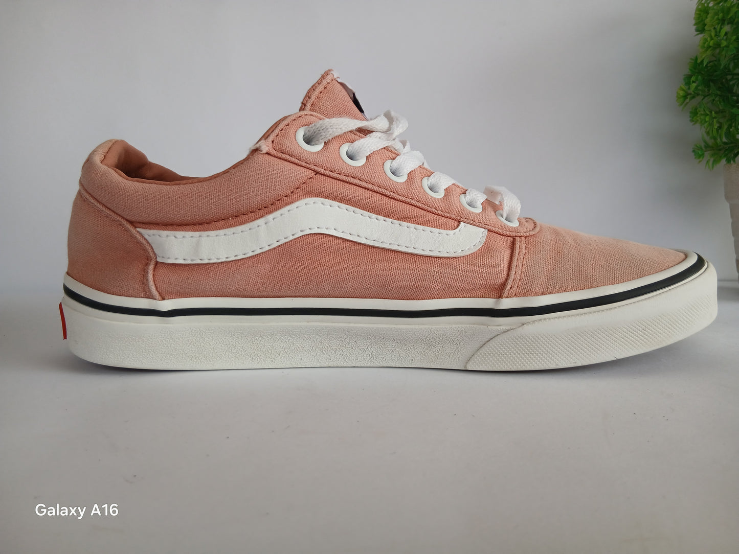 Vans Shoe - EUR Size 39