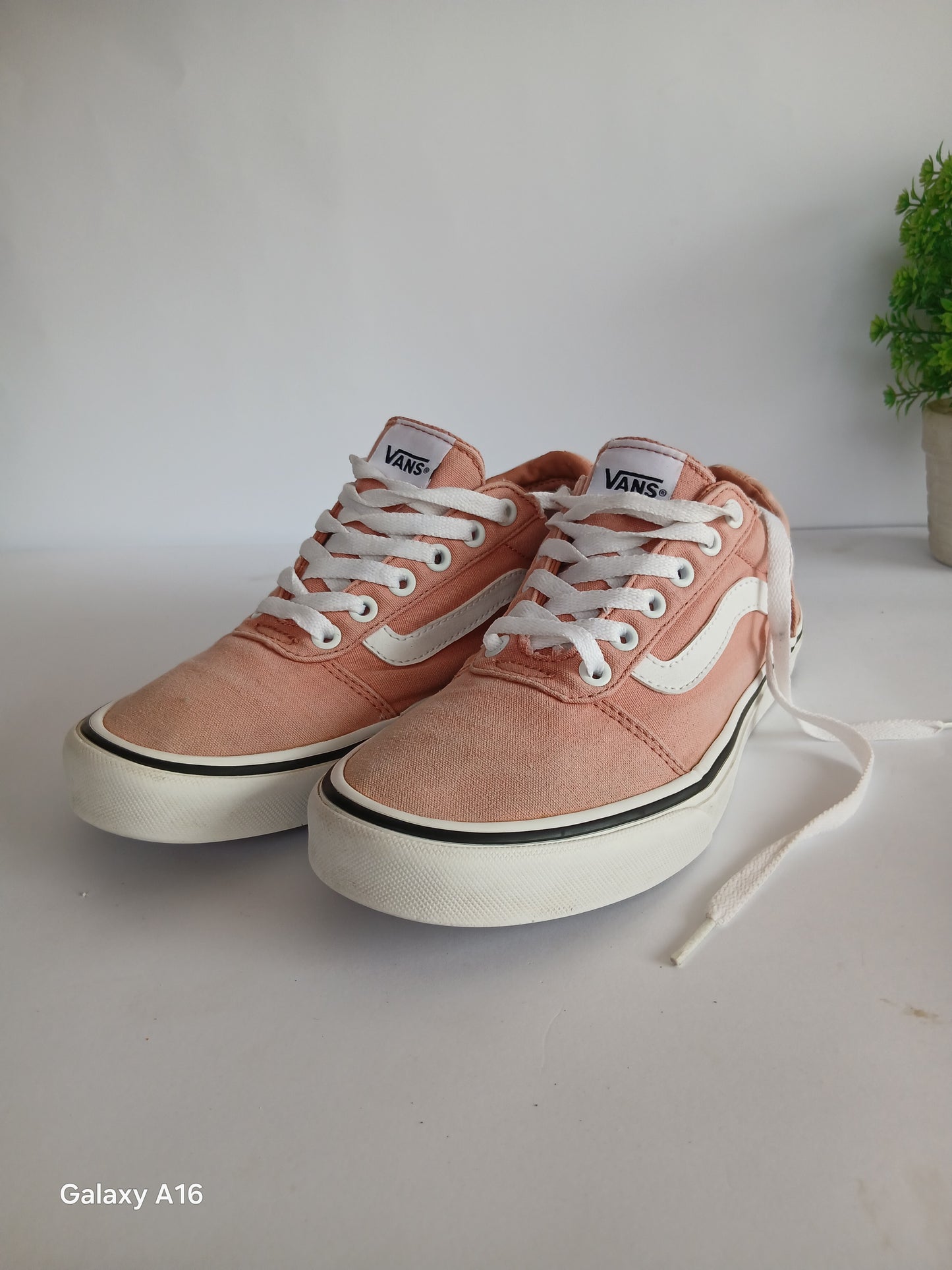 Vans Shoe - EUR Size 39